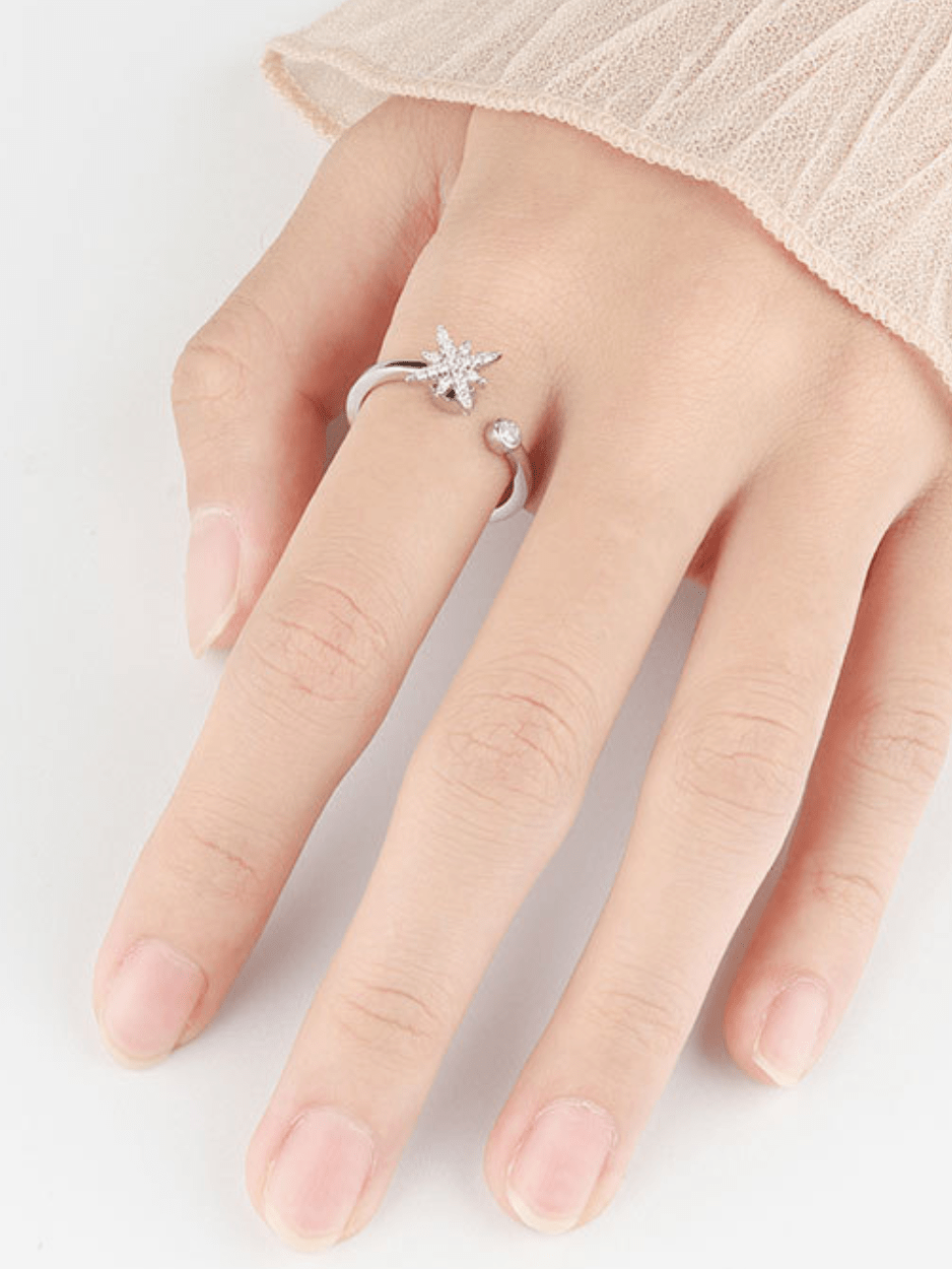 Polaris Star Spin Ring - Minimalist Lab