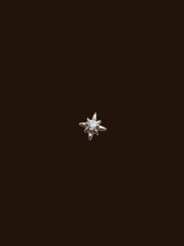Lyra Star Zircon Stud Earring - Minimalist Lab