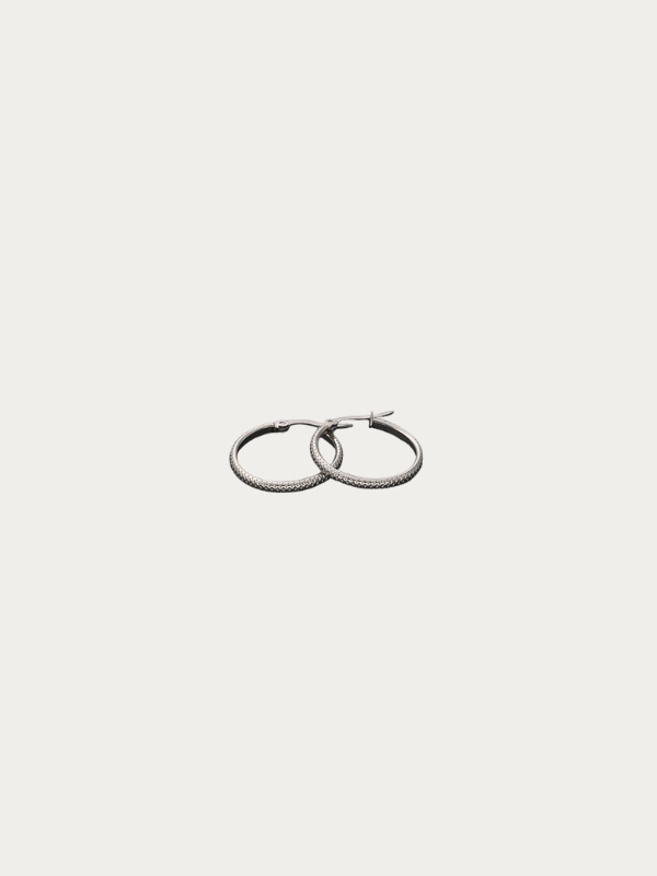 Hypoallergenic titanium earrings: Seren textured hoops on a jewelry dish.