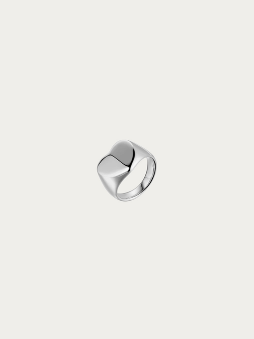 Gerald Faceted Heart Ring in polished silver titanium