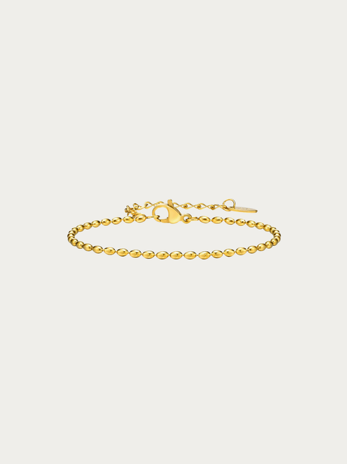 Sadie Classic Seed Chain Bracelet 2mm in gold titanium