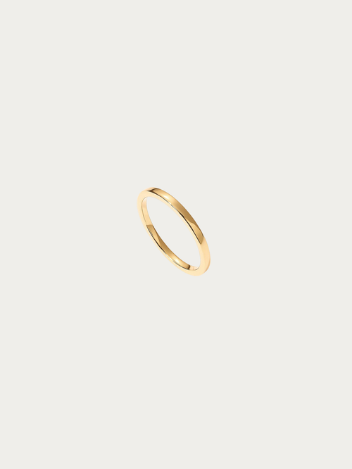 Theo 2mm Classic Band Ring in polished gold titanium