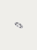 Universe Spin Ring in polished silver titanium